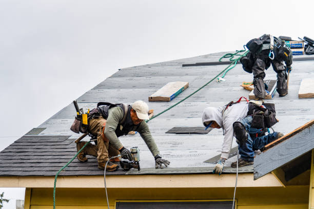 Professional Roofing technician working in Shedd, OR